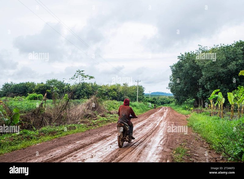 Experience the Vibrant World of Fortune Gems 2 in Cambodia Today